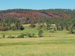 Cuter State Park Fire