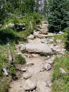 Black Elk Peak