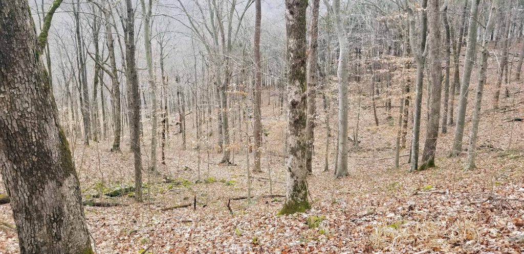 Winter hiking in Mammoth Cave National Park. © Brad Saum/RvingRevealed.com – All rights reserved.