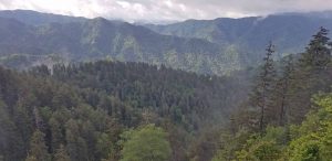 Great Smoky Mountains National Park view