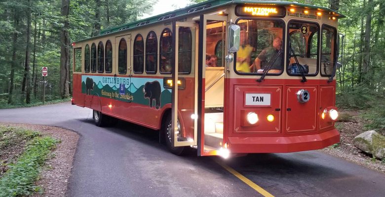 Trolley transports visitors to the synchronous fireflies