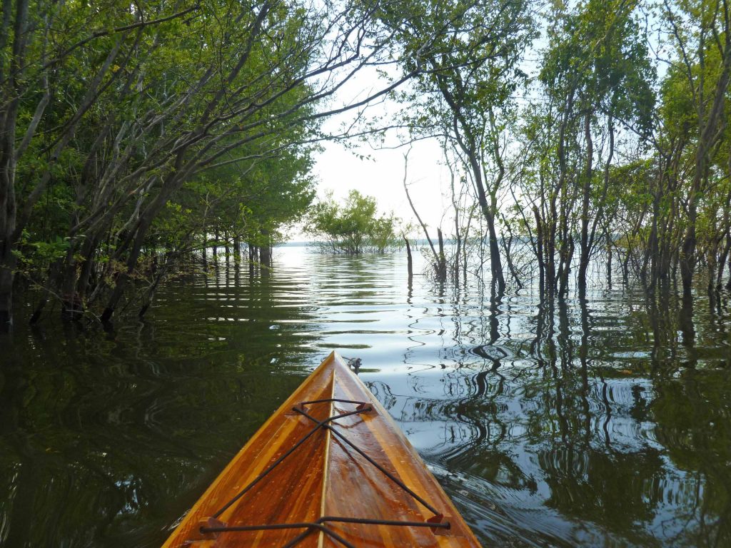 brad saum kayaking Grenada Lake