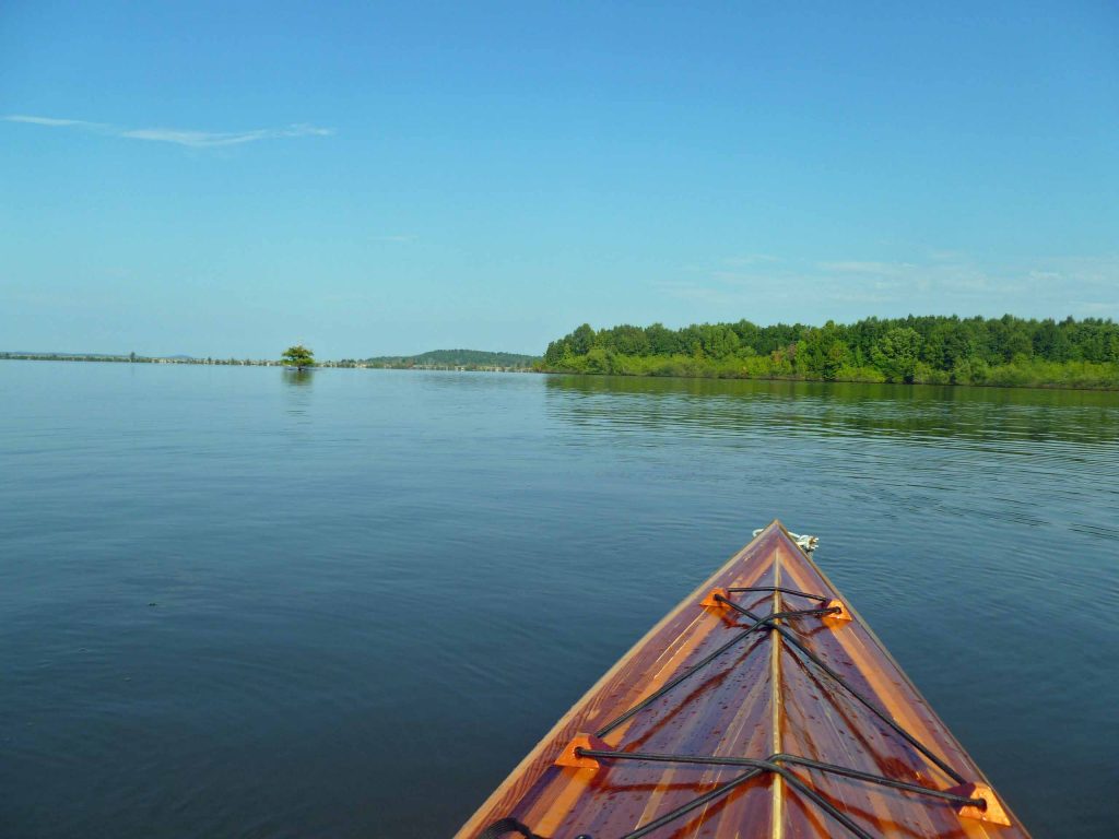 kayak