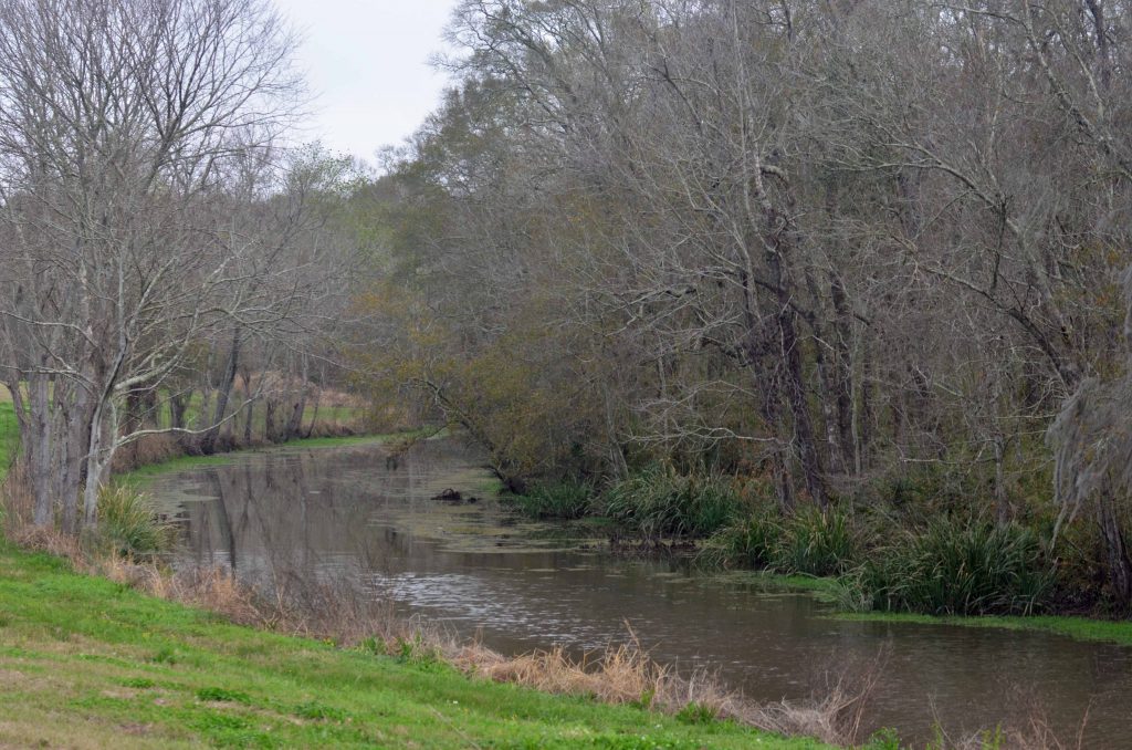 Bayou Teche