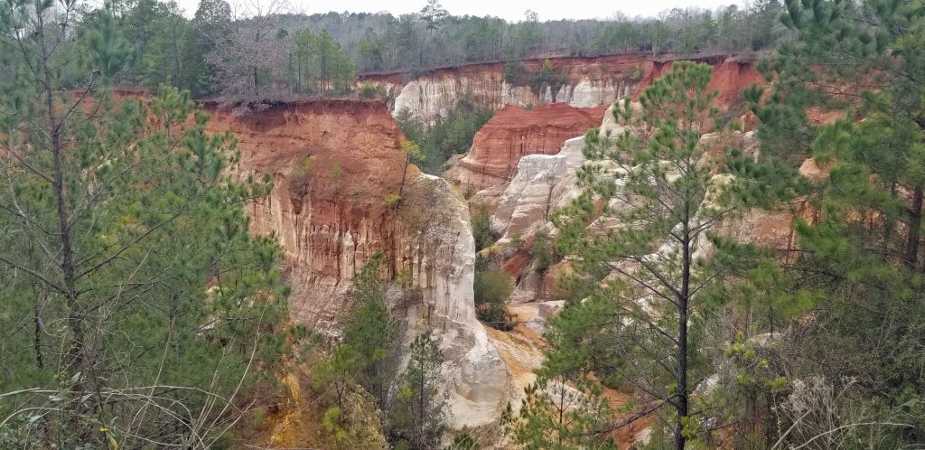 Georgia's Grand Canyon near Lumpkin, Georgia.