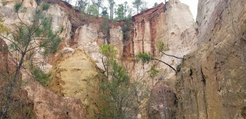 high rock walls of Georgia's Grand Canyon