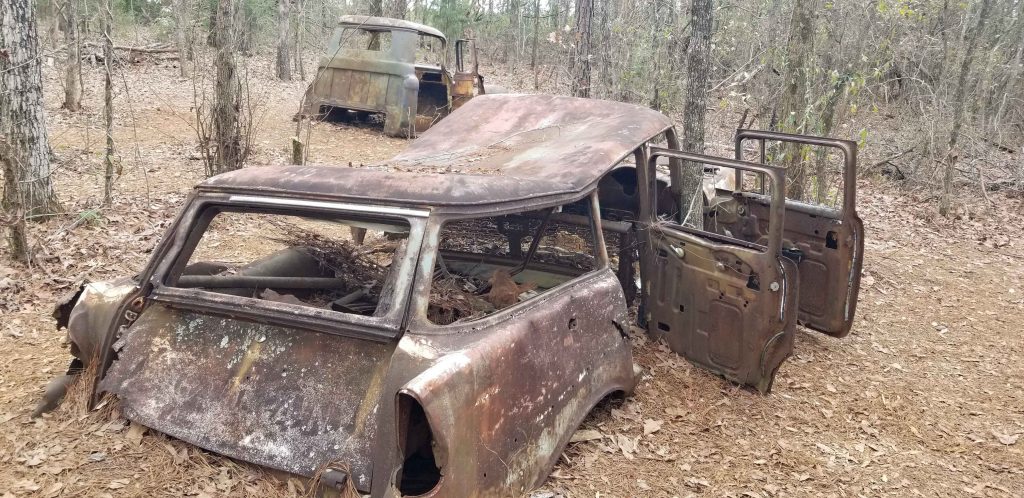 old rusted vehicles overgrown with vegetation