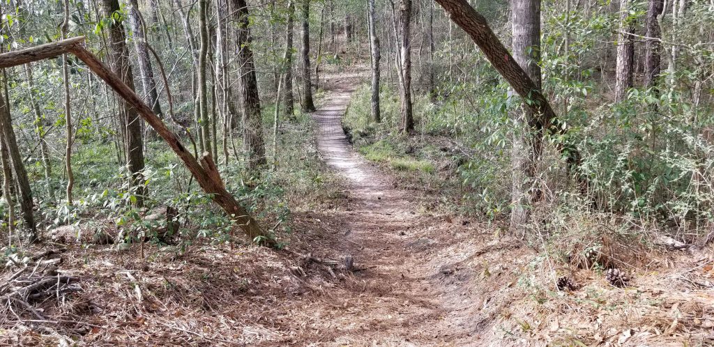 This county park has hiking trails as well as paved walking paths that meander throughout the park.