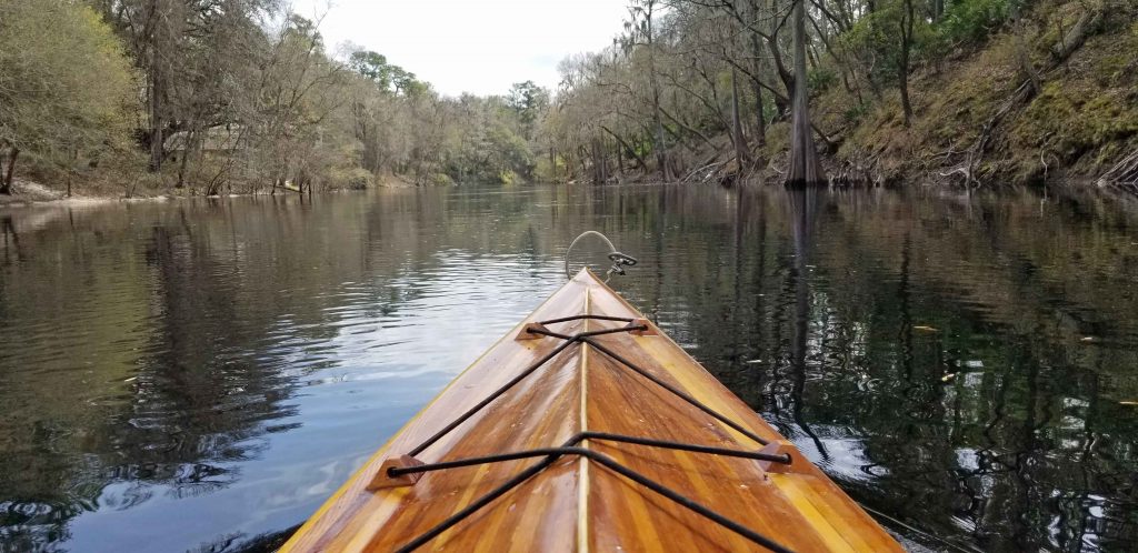 Kayaking the Suwannee River.