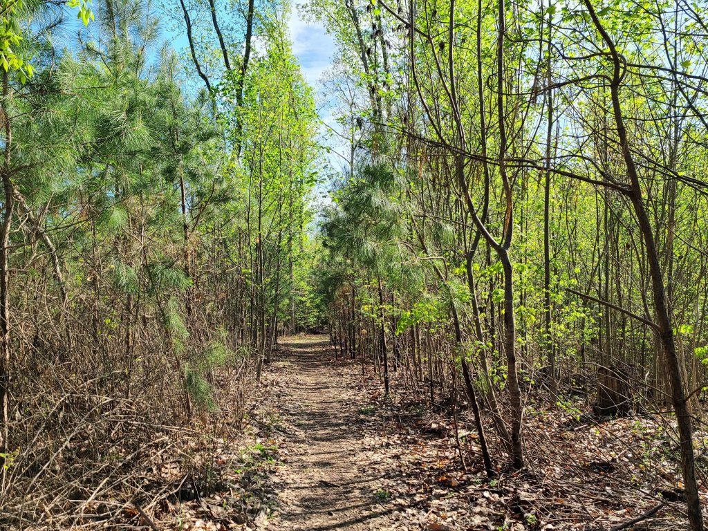 hiking trail at Lake Guntersville State Park