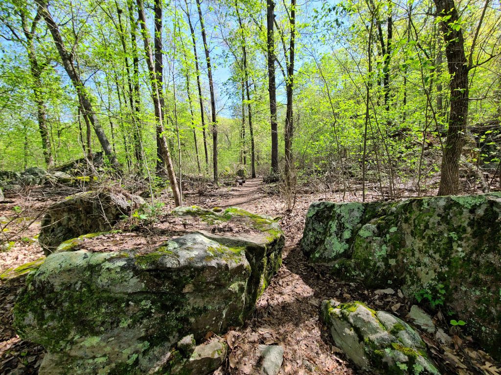 Hiking trail with rocks