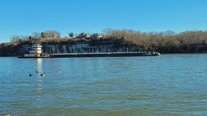 Tug boat pushing barges along the Tennessee River with geese in the foreground and houses high the cliff behind.