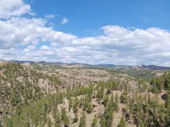Panoramic view of the Black Hills with mountains and forests.