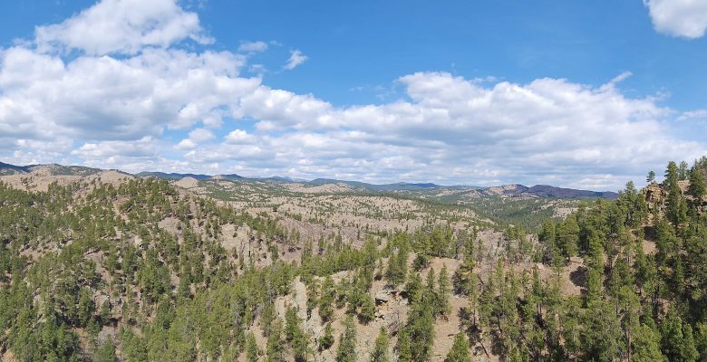 Panoramic view of the Black Hills with mountains and forests.