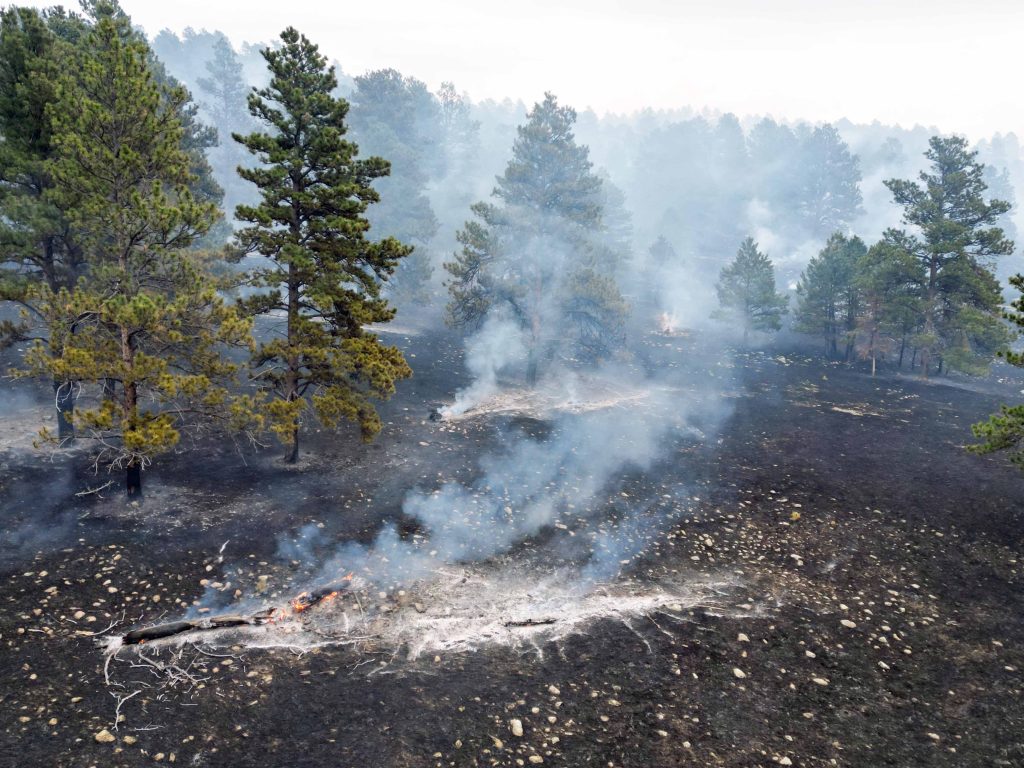 Flames and ash from prescribed wildfire.