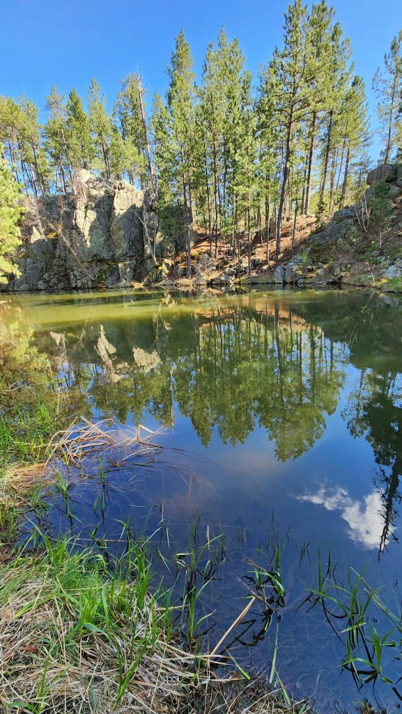 A pond along Grace Coolidge Creek reflecting trees along the bank.