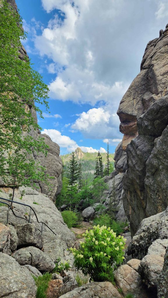 View of the Black Hills beyond the rock granite behind Sylvan Lake.