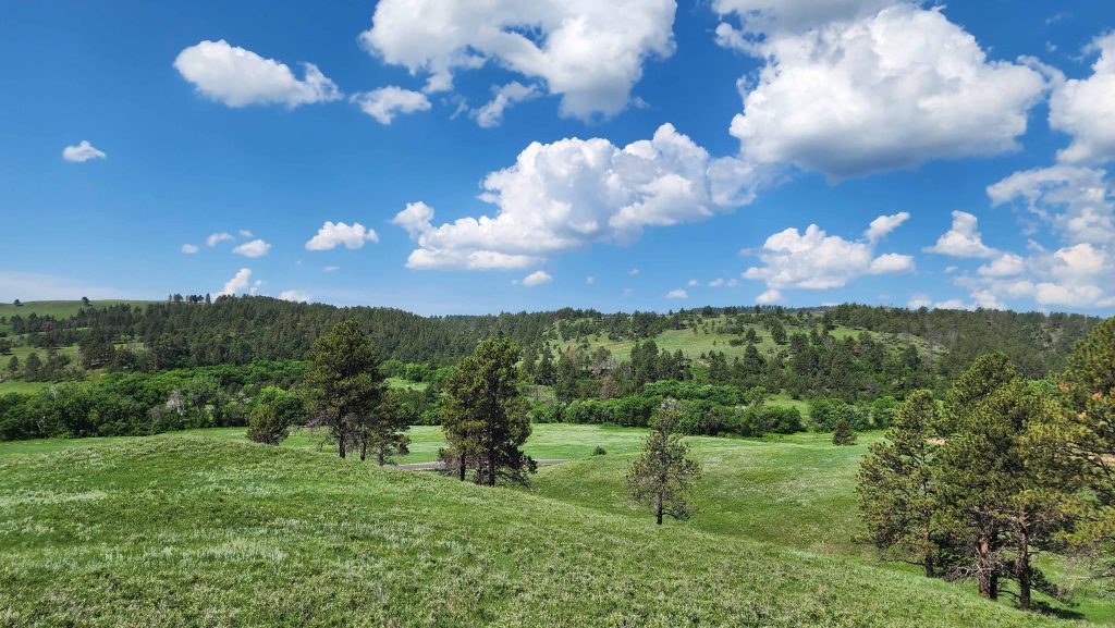 The rolling hills of the open praire with scattered pine trees against a blue sky with white puffy clouds.