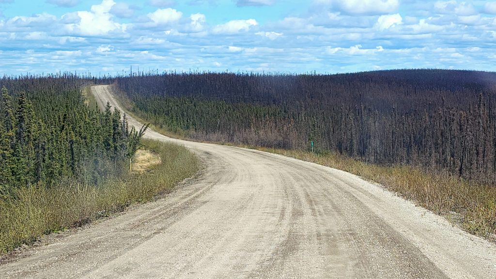 drive to the arctic ocean